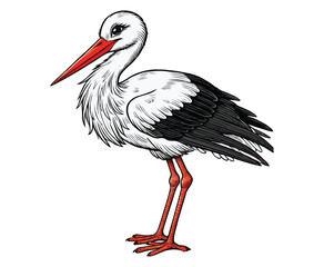 Stork color on a white background