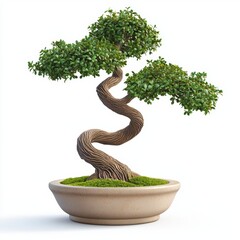 3D icon cartoon bonsai tree with twisted branches in a ceramic pot isolated on a white background 