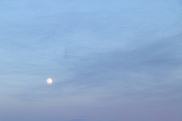 ビーバームーン