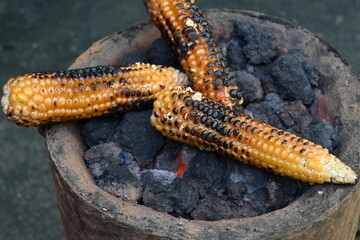 Grilled Sweet corn cob. This is a complete food for humans. It contains many vitamins. Grilled corn cob on coal stove. It's like all over world. Heathy eating. 
