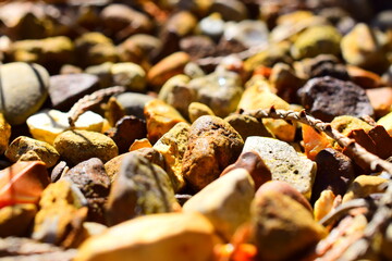 Sunshine on Pebbles