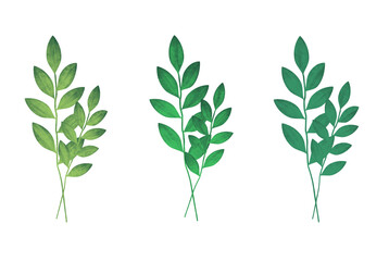 Green twigs Watercolor. Elements for illustration