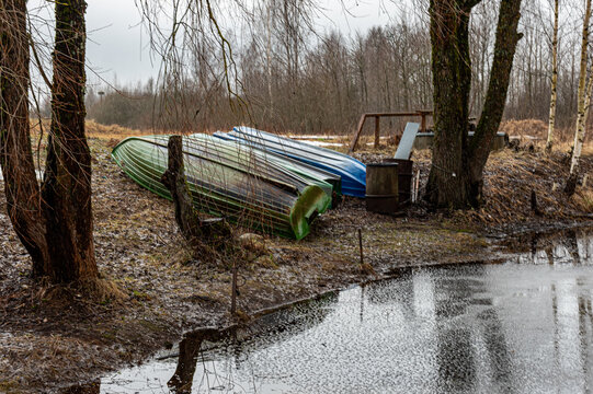 PILKA (17).jpg