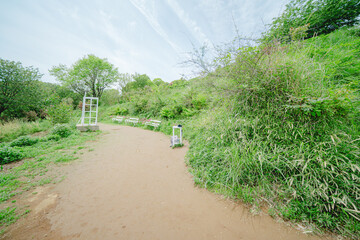 Fototapeta premium 熱海の美しい海と植物の風景