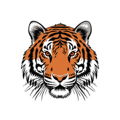 Create a tiger vector art color with white background.