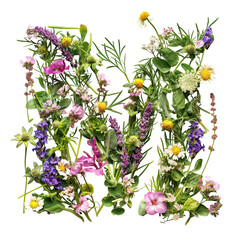 Botanical letter M with vibrant floral design on white background, nature typography art