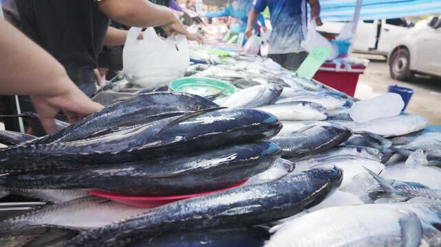 People hand choose fresh seafood fish in local market raw food fishery village