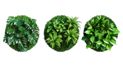 Set of round green garden wall panels from tropical plants, isolated on a white background