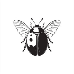 How to Make Your Garden a Safe Haven for Ladybugs