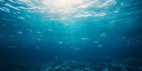 Fototapeta premium Diverse Marine Life Swimming Gracefully in Clear Blue Ocean Waters During a Sunny Day, Showcasing the Beauty of Underwater Ecosystems