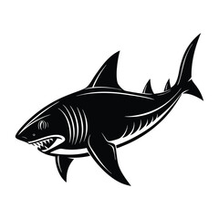 body shark vector illustration