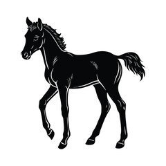 silhouette of a baby horse  vector illustration