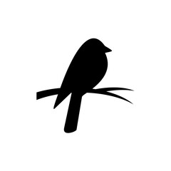 Bird Silhouette on Branch Icon.
A minimalist black bird perched on a branch
