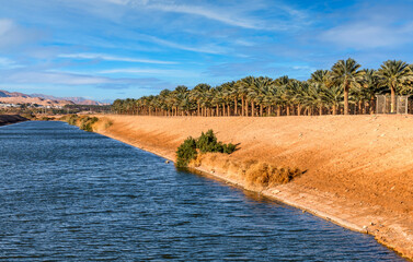 Date palms is ancient plant and famous food crop in Middle East and North Africa, today this farming is important element of advanced and sustainable agriculture. No AI tools were used