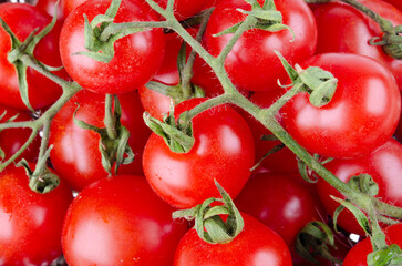 Juicy fresh cherry tomatoes on a twig with green leaves ,background