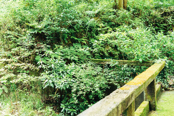 熱海の美しい風景