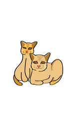 Cozy cat duo