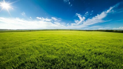 Obraz premium 広々とした快晴の青空と草原 背景素材 チラシ・バナー・動画素材 AI生成素材