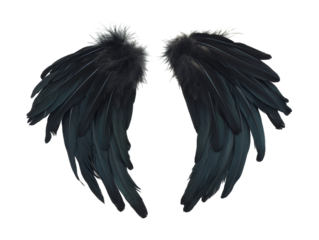 Isolated Black Feathered Wings