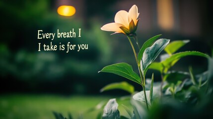 Delicate Flower Stands Tall with Poetic Text in Soft Natural Lighting