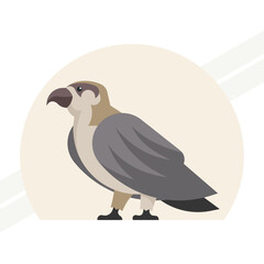 An illustration of a falcon representing strength and agility