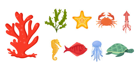 Sea underwater nature. Ocean wildlife elements. Coral, starfish, seaweed. Tropical aquatic animals and plants. Medusa, sea horse and squid. Fish turtle and crab. Cartoon vector illustrations set.