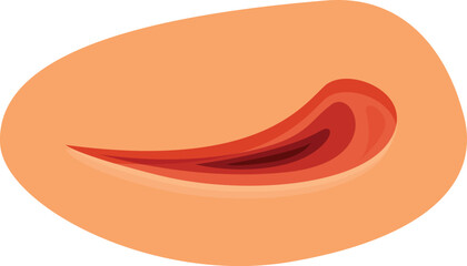 Closed eye showing slightly open eyelid illustrating eye movement during sleep, rem phase, or microsleep