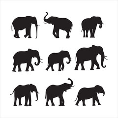 Set of logotype different type of black elephant vector illustration.