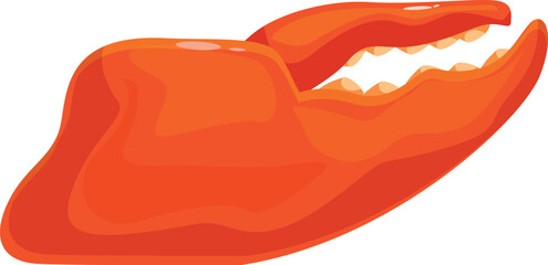 One single cooked lobster claw holding nothing isolated on white background
