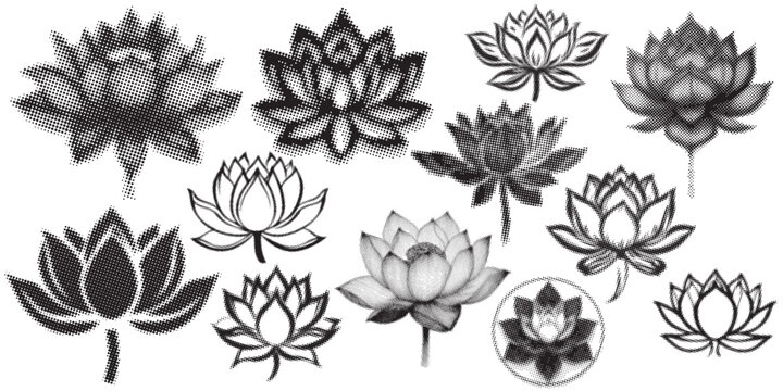 lotus vector set half tone, inspiration flower 