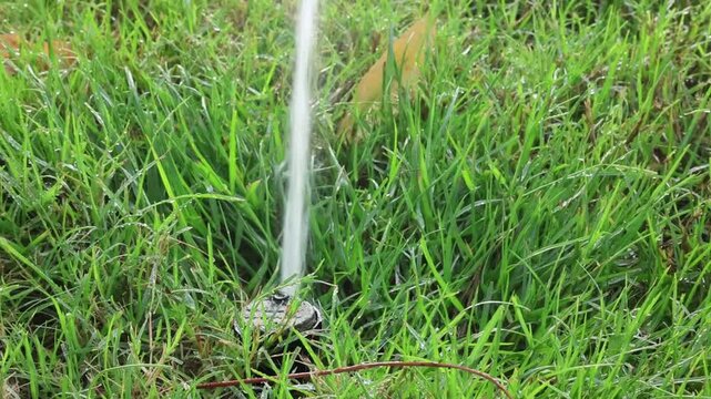 Splinker irrigates the lawn near house, watering the lawn grass.
