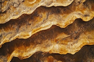 Obraz premium The texture of the soil is a brown color, top view, 