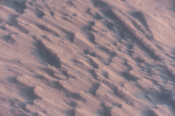 Nieve moldeada por el viento