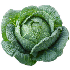Obraz premium Fresh green cabbage organic vegetable isolated transparent background healthy food farming produce