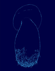 Mushroom with a long stem is shown in a blue background. The mushroom is drawn in a stylized way, with a focus on its stem. The blue background adds a sense of depth and contrast to the image