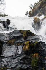 Roca con plantas en cascada