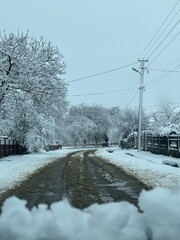 winter in the city