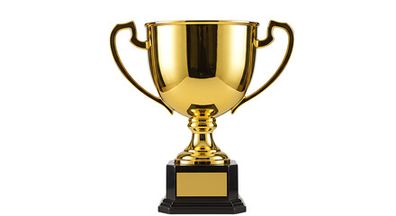 Gold Trophy Award Winning Champion Prize