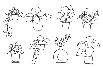 Set of plant in pot hand drawn vector illustrations house plant, home decoration 
