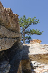 Sloping beige rock with tree on top