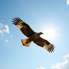 Flying eagle in the air 