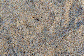 beach sand in an afternoon