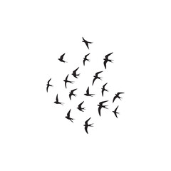 Black Birds flying with sky silhouette vector illustration on white background.