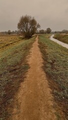 Rural Pathway Alongside Creek