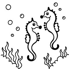 Obraz premium animal