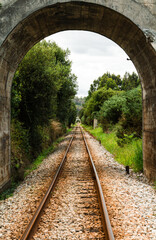 Vías del tren bajo un puente en el bosque