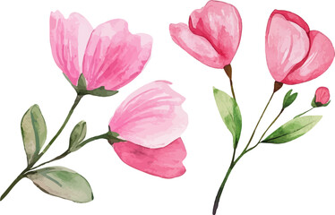 Fototapeta premium bouquet of pink tulips