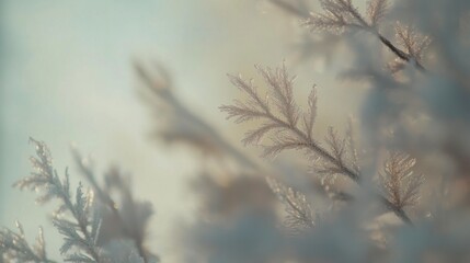 Obraz premium Close-Up of Delicate Frost Patterns in Wintry Light