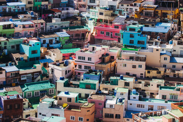 Fototapeta premium View of Gamcheon Culture village, Busan city, South Korea, Gamcheon-dong, Saha District, beautiful view of streets and multicoloured houses in a summer sunny day, Republic of Korea travel