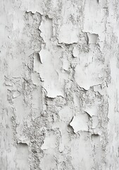 Fototapeta premium A high-resolution texture of an old, cracked white wall with subtle gray tones and a rough appearance.
